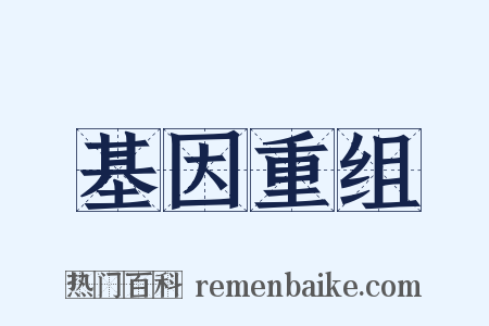 基因重组是什么意思的图片
